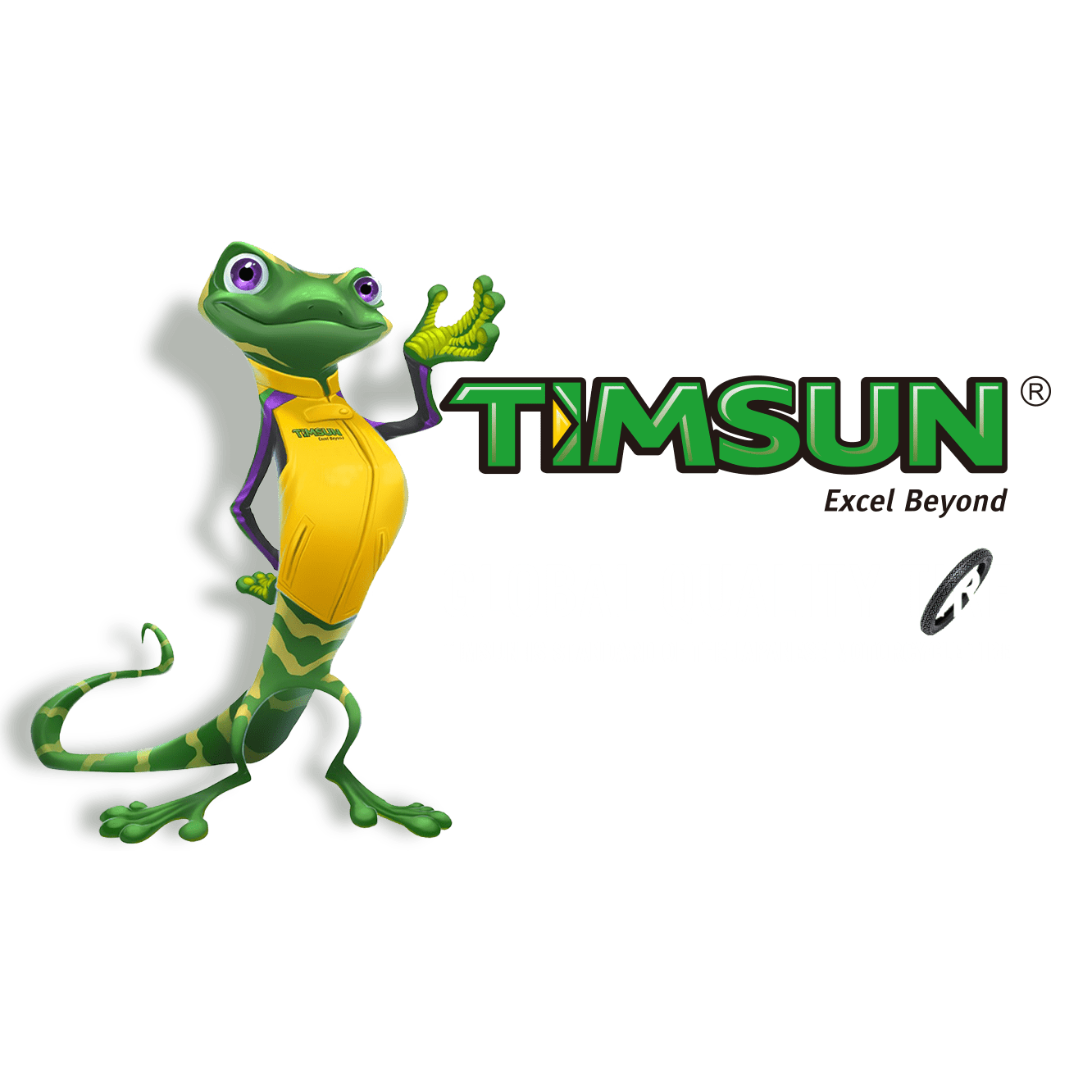 TIMSUN